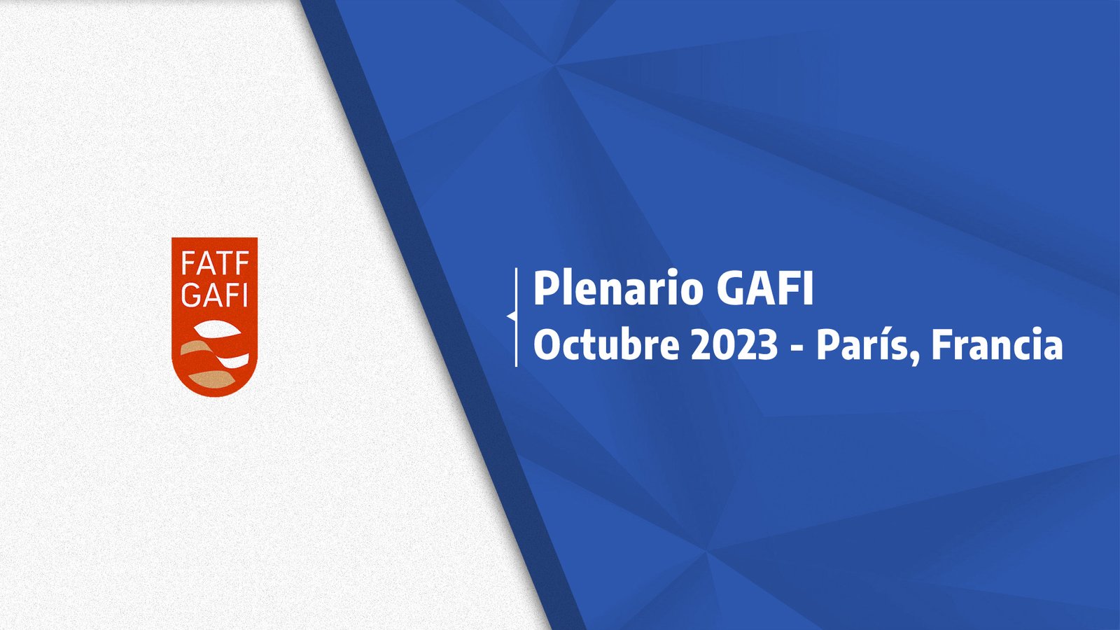 Read more about the article Conclusions of the Plenary of the Financial Action Task Force