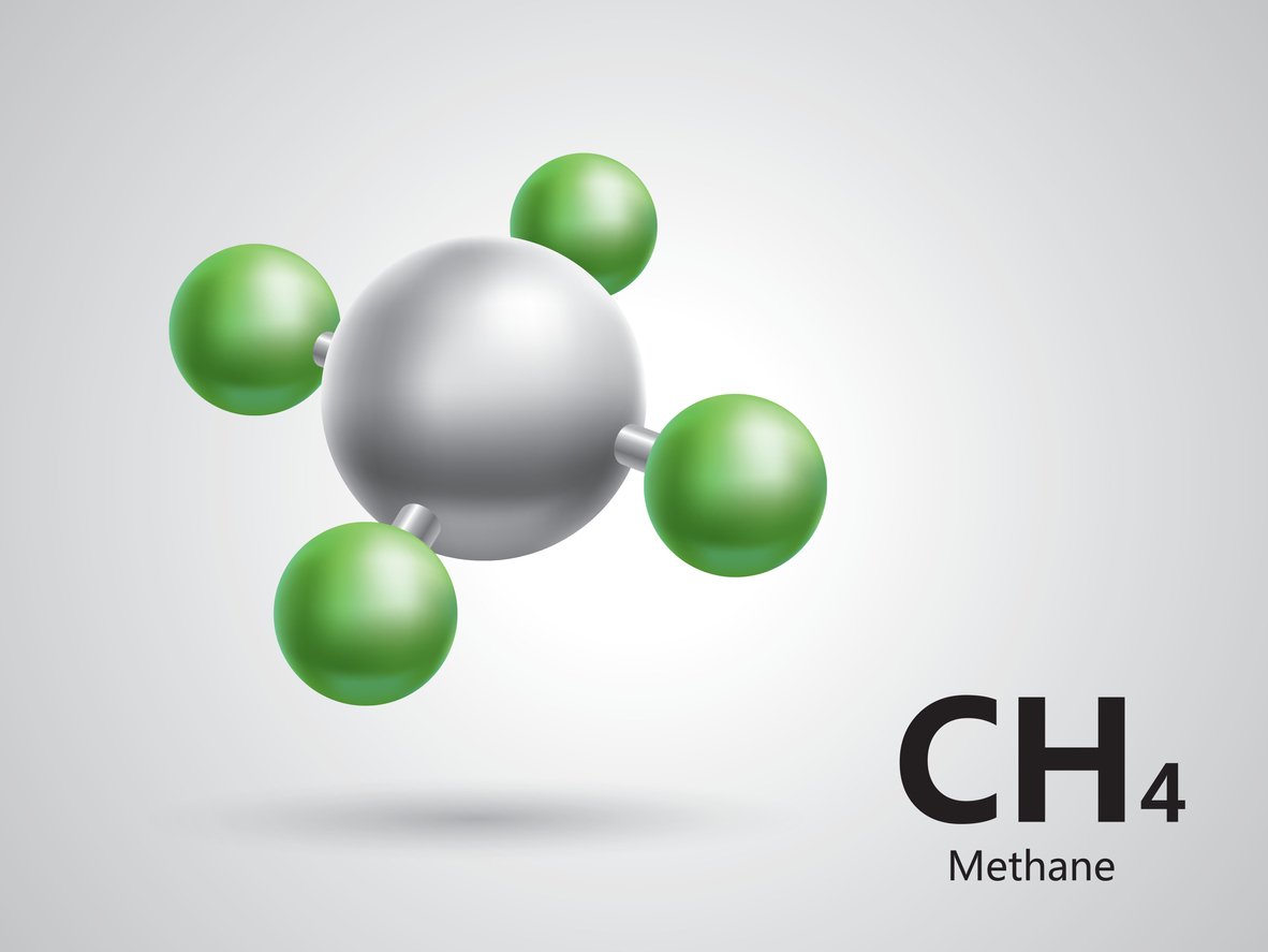 Read more about the article The declaration of the 14 participants of the working group on the “Framework” for the reduction of methane emissions has been published