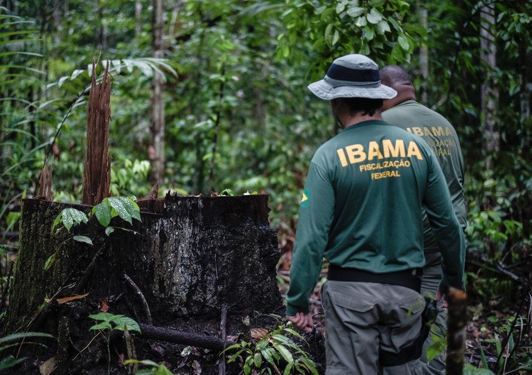 Read more about the article STJ confirms validity of Ibama environmental fines totaling R$29 billion