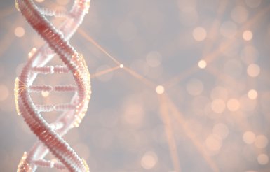 Read more about the article The CNIL has imposed fifteen new sanctions as part of the simplified procedure since January 2024