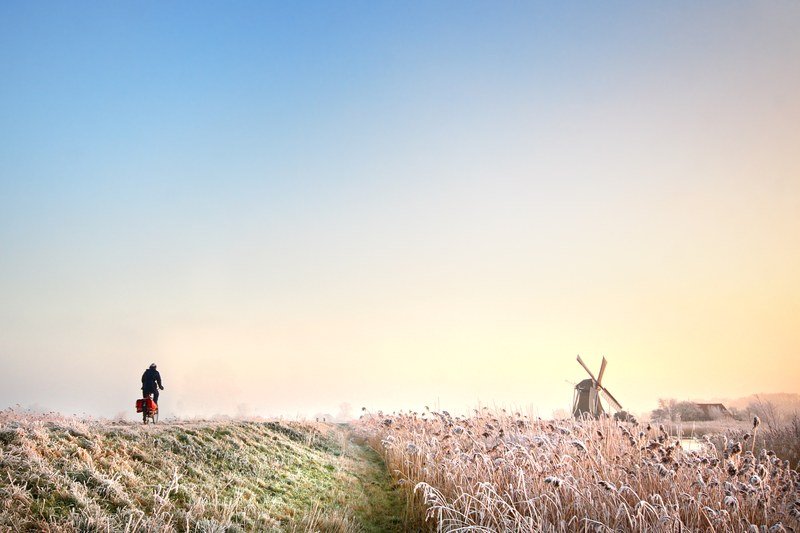 Read more about the article Nature-based solutions play crucial role in building Europe’s climate resilience