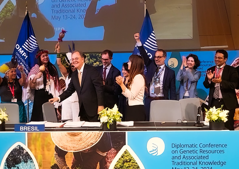 Read more about the article Historic treaty on intellectual property, genetic resources and traditional knowledge is approved