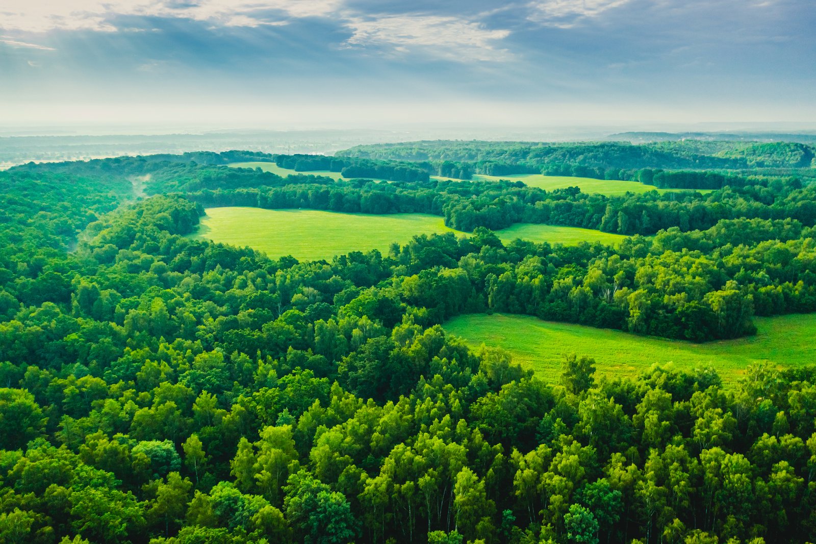 Read more about the article Sustainability: The Autorité publishes its notice on the provision of informal guidance to companies