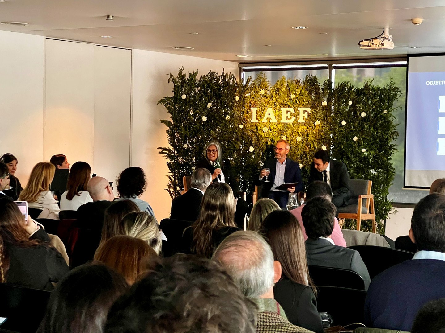 Read more about the article Second IAEF sustainable finance meeting