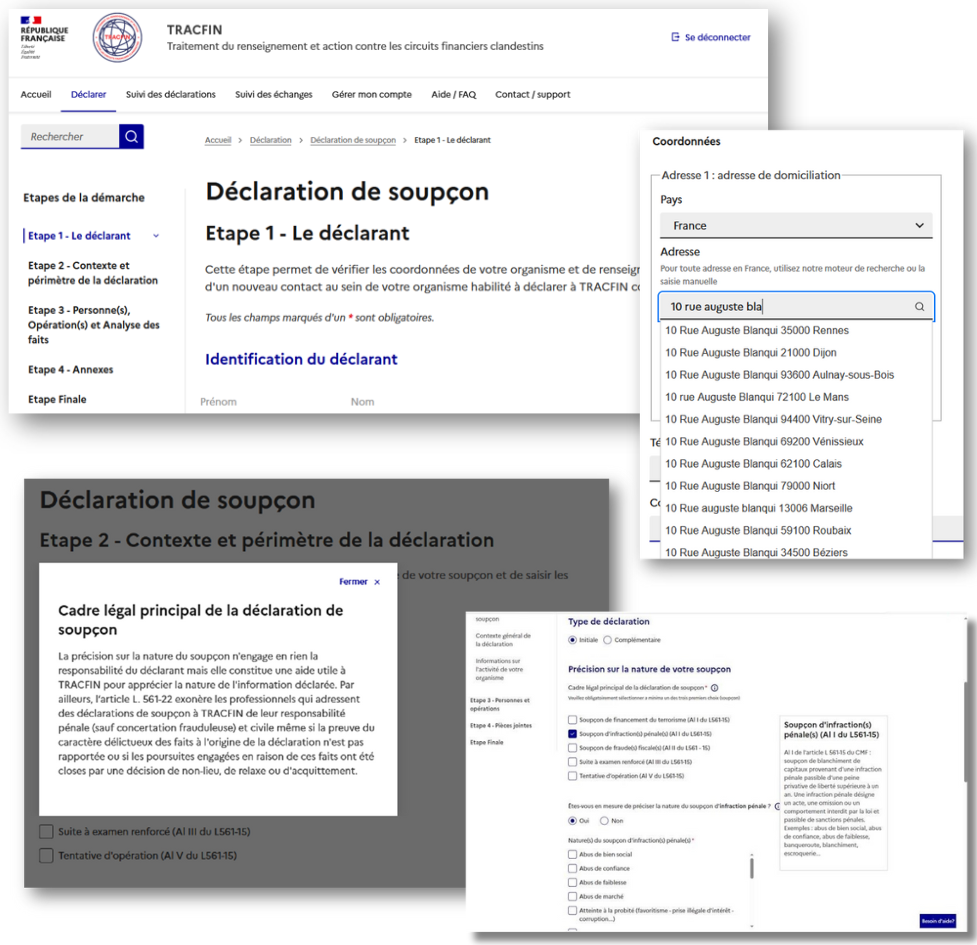 Read more about the article A new suspicion reporting form to improve the quality of information sent to Tracfin