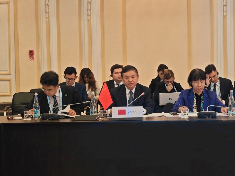 Read more about the article The 10th BRICS Environment Ministers’ Meeting was held
