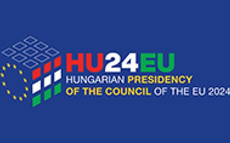 Read more about the article Hungarian EU presidency to combat cybercrime