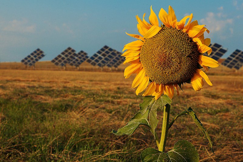 Read more about the article Anchoring environment, climate and sustainability as part of the EU’s strategic priorities is key to success