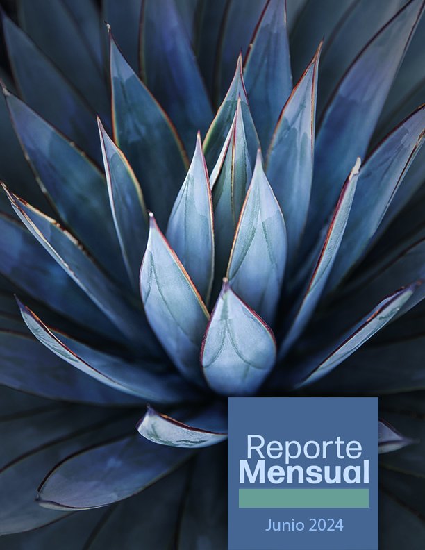 Read more about the article Monthly Report – June 2024 published