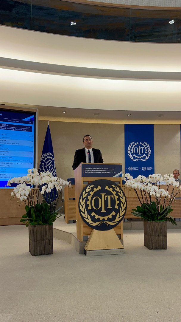 Read more about the article Plenary of the 112th ILO General Assembly