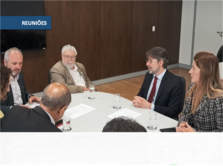 Read more about the article SUSEP Superintendent participates in meeting with the Ministry of Management and Innovation in Public Services