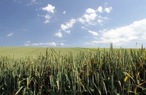 Read more about the article First Sustainable Farming Incentive agreements live for 2024