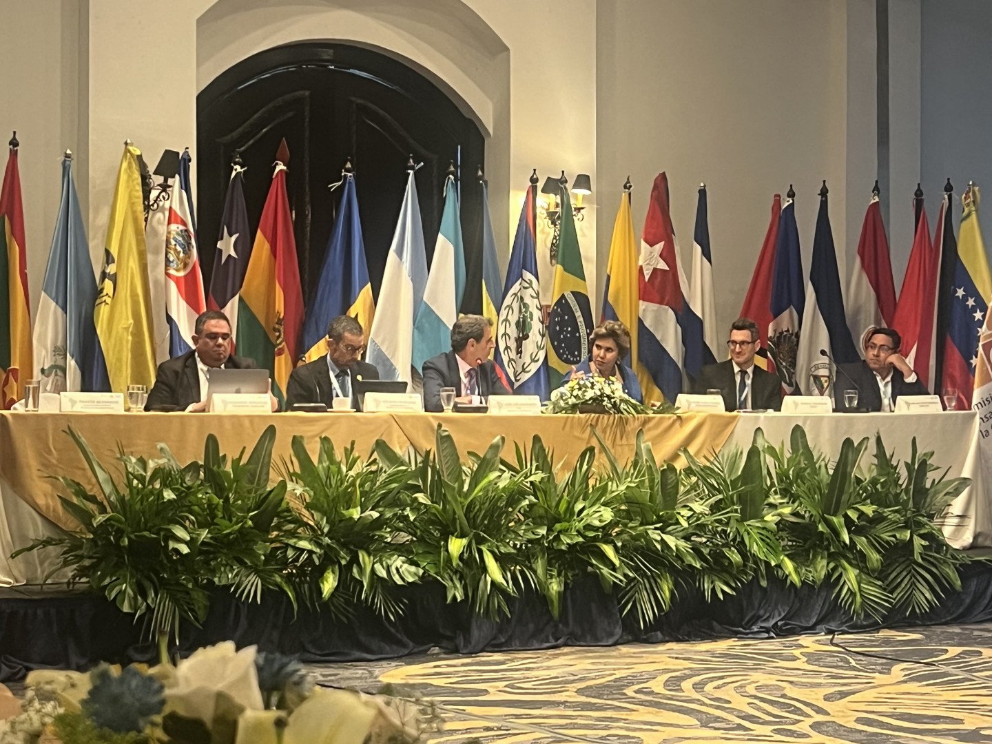Read more about the article The CNDC presented at the XII Meeting of the Working Group on Trade and Competition in Latin America and the Caribbean