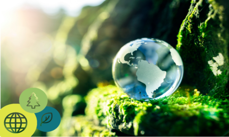 Read more about the article Climate Change and the Environment – Key Advice Resources on Green Claims