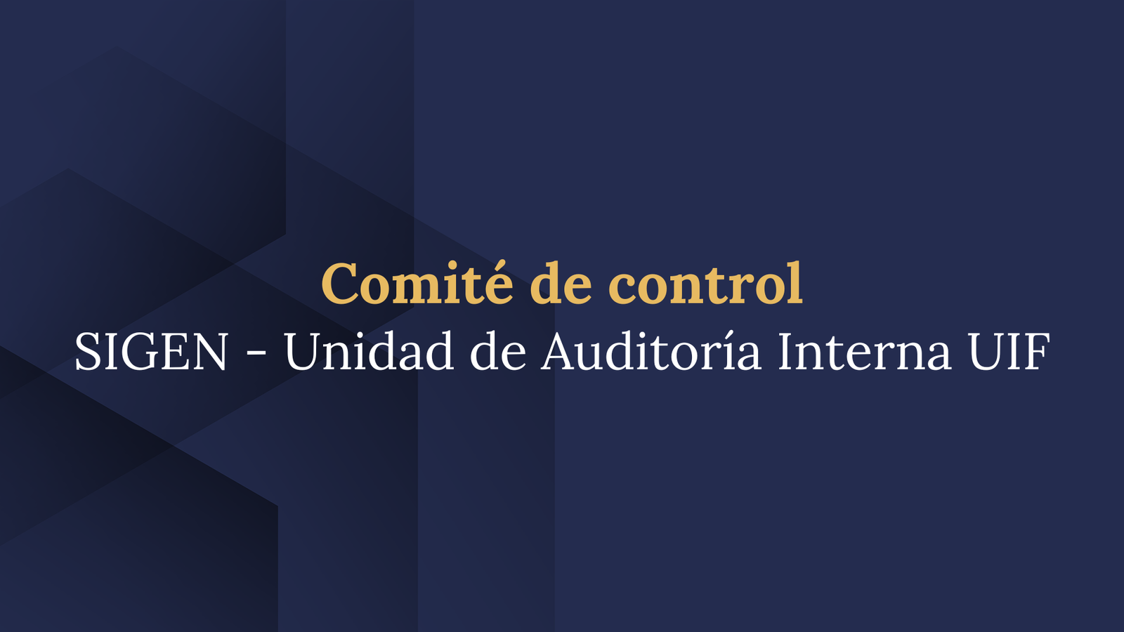 Read more about the article First internal control committee of 2024
