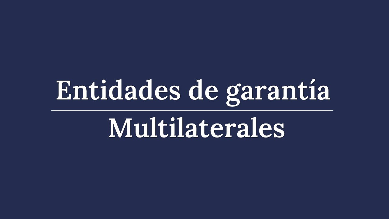 Read more about the article Multilateral Credit Organizations are incorporated as Guarantee Entities