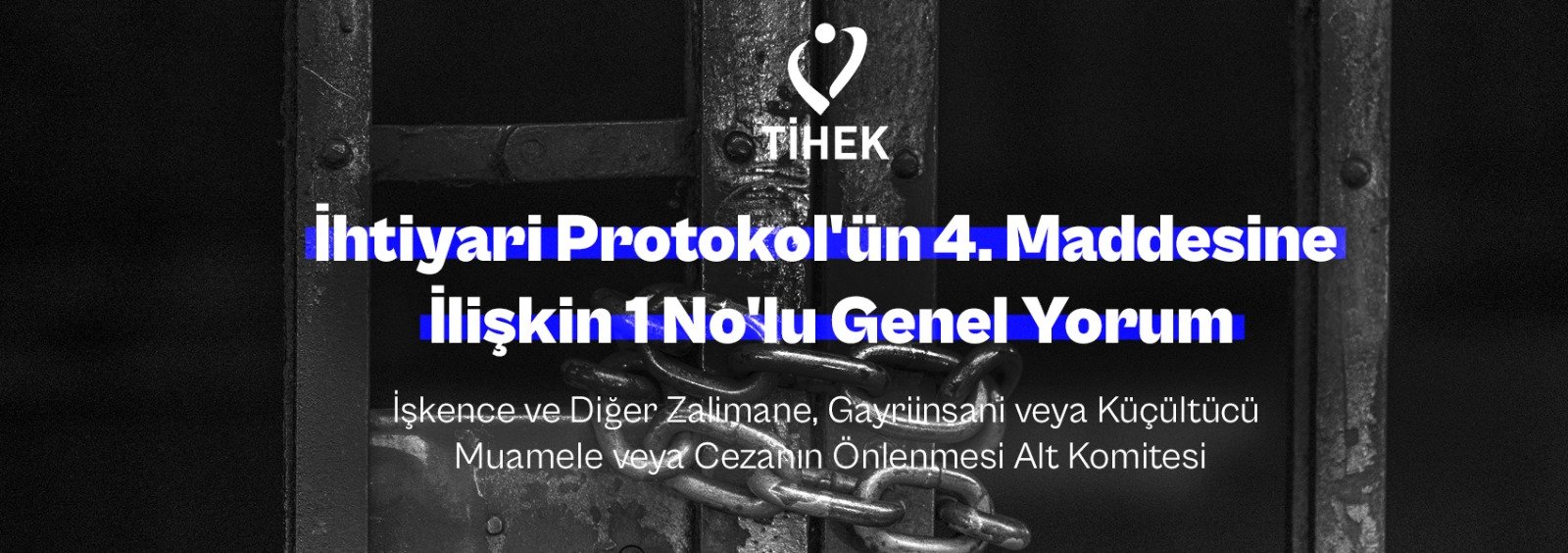 Read more about the article Unofficial Turkish Translation of General Comment No. 1 on Article 4 of the Optional Protocol to the Convention against Torture and Other Cruel, Inhuman or Degrading Treatment or Punishment