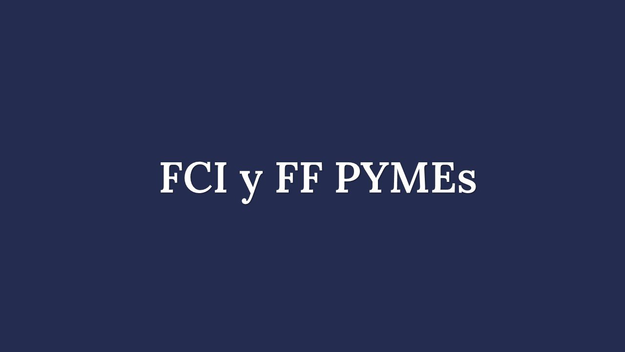 Read more about the article Expanding financing for SMEs in the capital market through FCI and FF