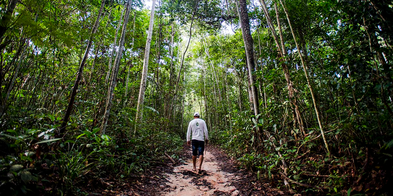 Read more about the article Report identifies challenges in consolidating rural settlements in Brazil